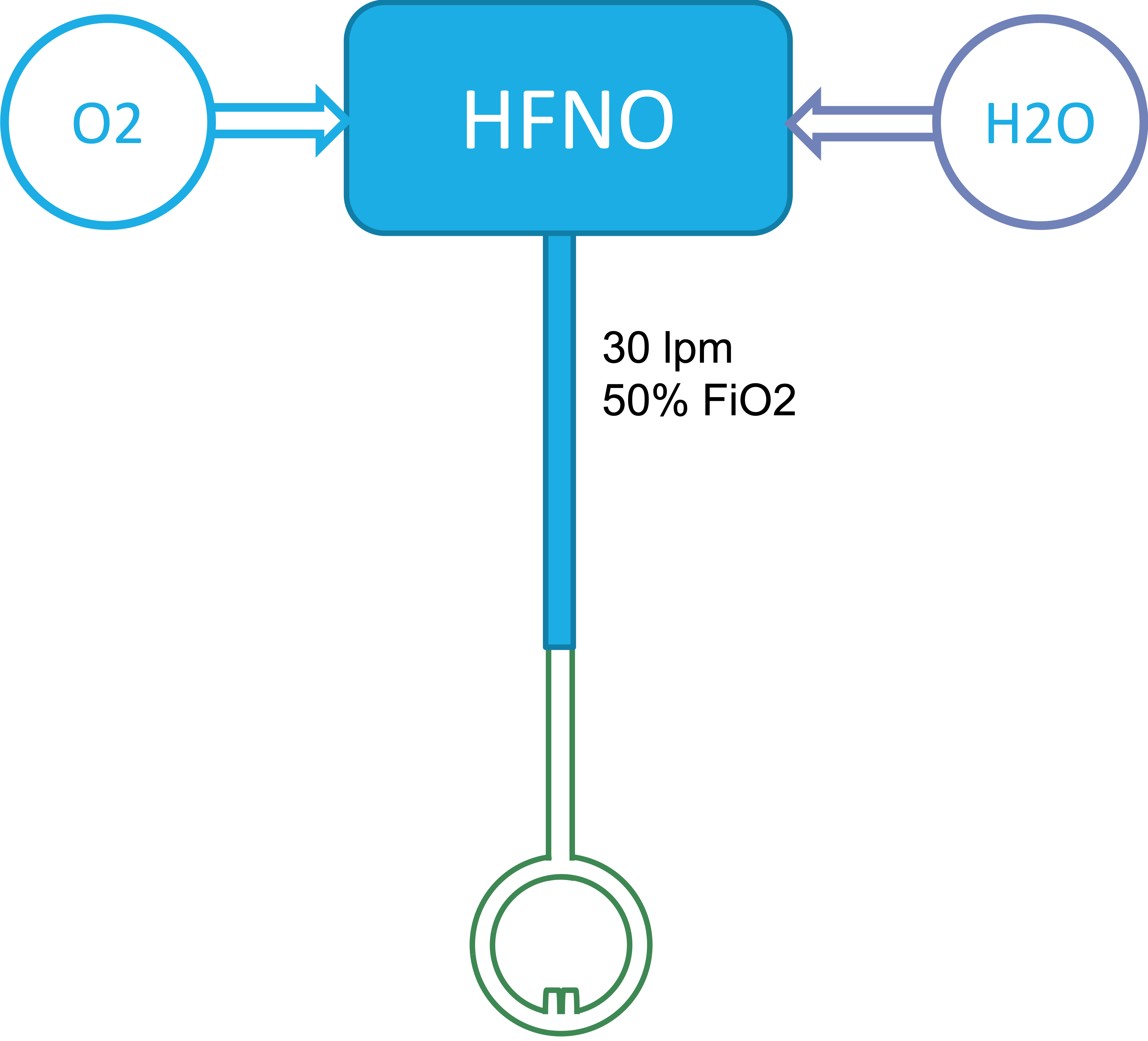Standard HFNO Setup